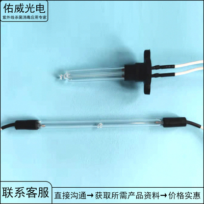 254nm 2w Uは紫外線ランプの冷たい陰極管ライトUVC消毒袋を形づける
