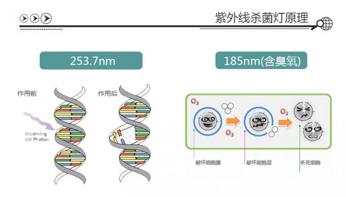 紫外線ランプの二重側面のまっすぐな管紫外紫外線導かれたライト消毒の球根の殺菌の管T5 10W 15W 20W 30W 40W 17